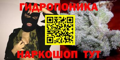 ГАЛЛЮЦИНОГЕННЫЕ ГРИБЫ Кимры