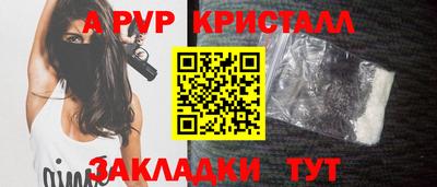 сатива Кингисепп
