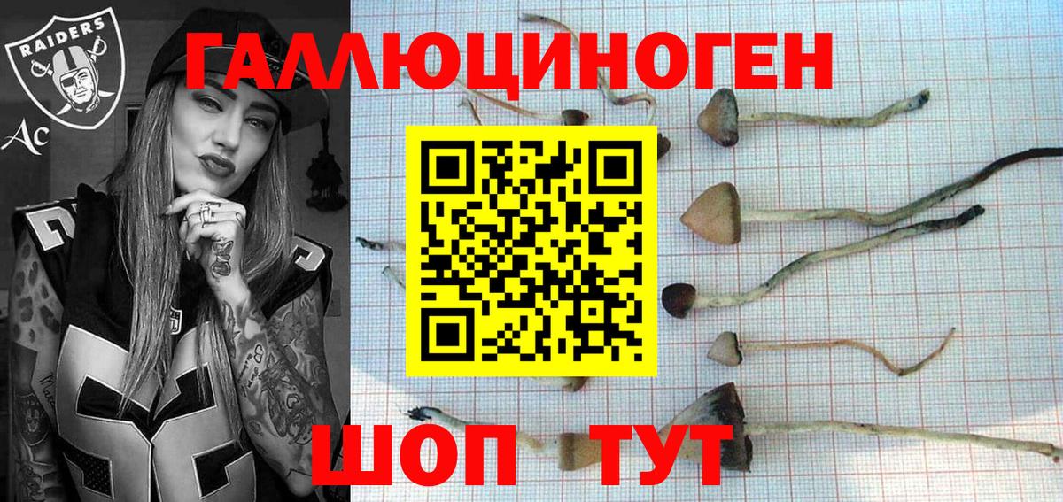Галлюциногенные грибы Magic Shrooms Чита